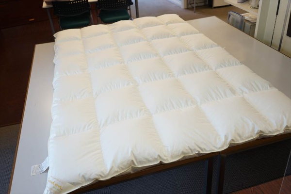 ベッドのサイズが小さいのでそれに合った羽毛布団が欲しい。画像