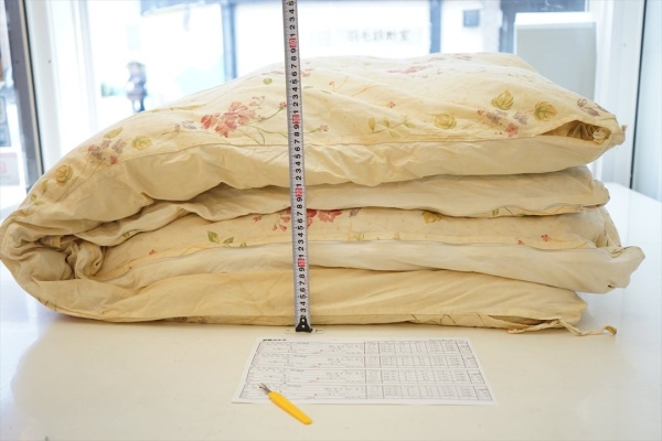 カバーの中は羽毛がいっぱいでカバーを掛けたまま送りますので見てもらえますか？画像