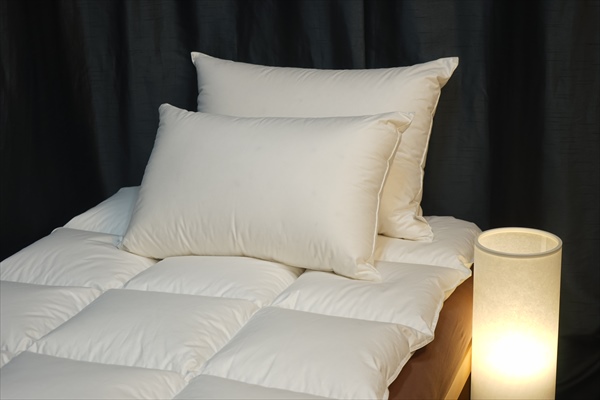 ヨーロッパのホテルでも良くある枕とクッションの２個でセッティングしてあるベッド