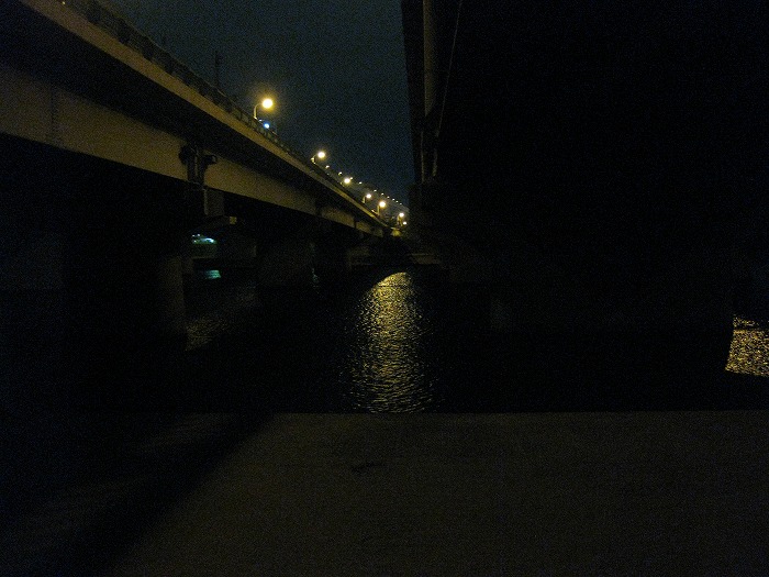 こんな暗い川べりを歩きます。