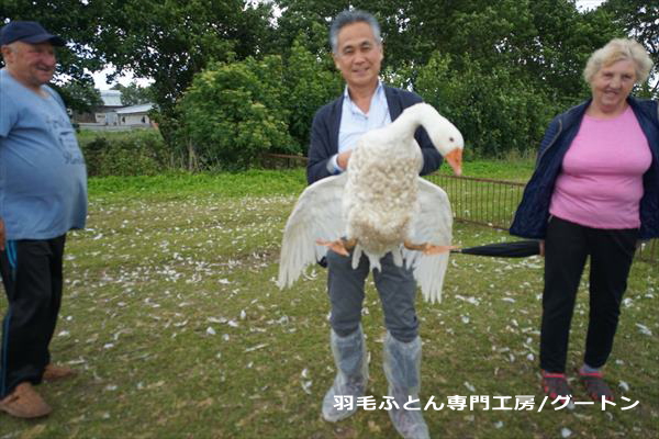 ※肩に当たる両翼をしっかりと持っているのでグースには負担はありません。