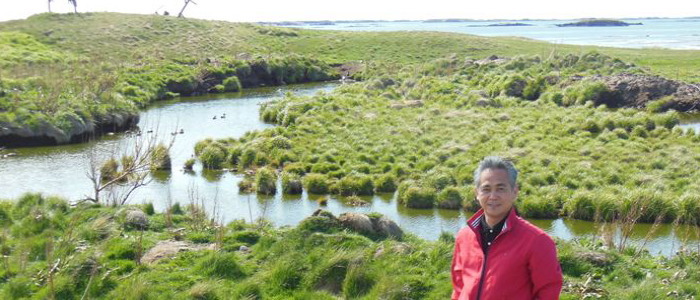 アイスランド、フラトエイ島にある中池。アイダーダックの憩いの場所です。
