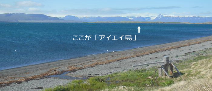 アイスランド、アイダーダックの島、アイエイ島。