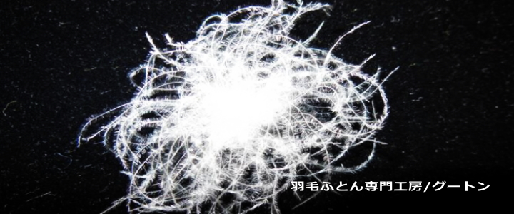 羽毛ふとん専門店の最高品質マザーグースダウン95 の羽毛布団をご紹介